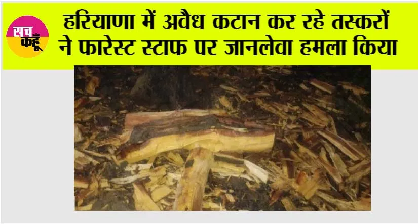 हरियाणा में अवैध कटान कर रहे तस्करों ने फारेस्ट स्टाफ पर जानलेवा हमला किया