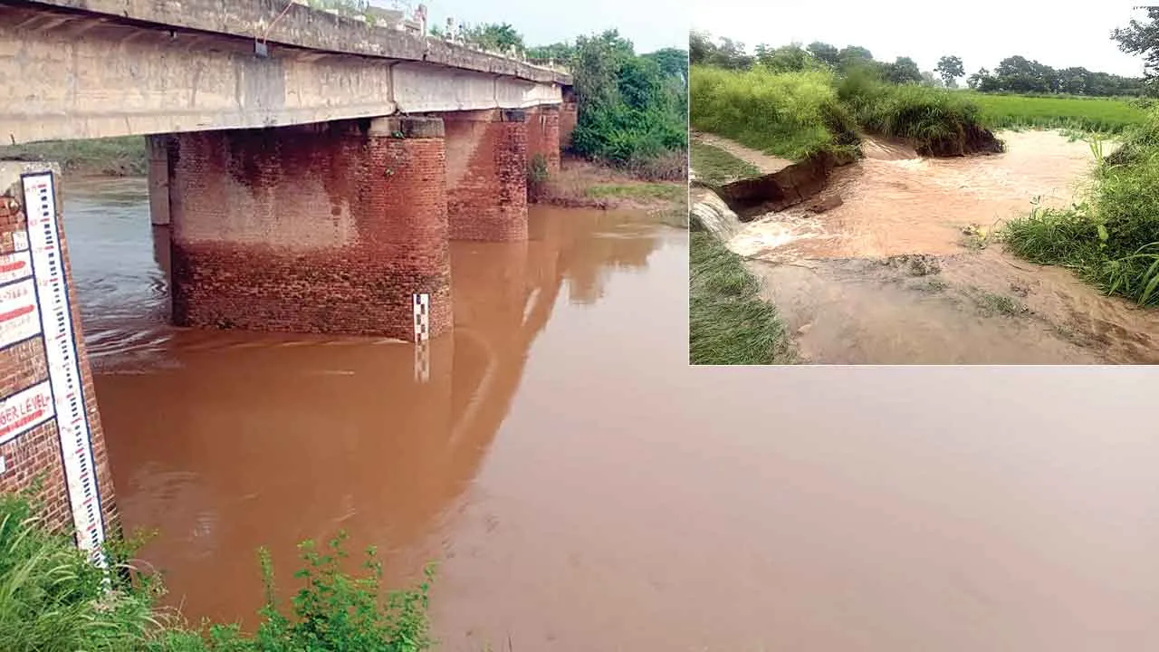 घग्गर, मारकंडा और टांगरी नदी का जलस्तर बढ़ा