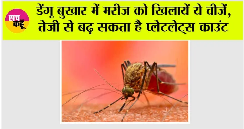 Dengue Diet Tips: डेंगू बुखार में मरीज को खिलायें ये चीजें, तेजी से बढ़ सकता है प्लेटलेट्स काउंट