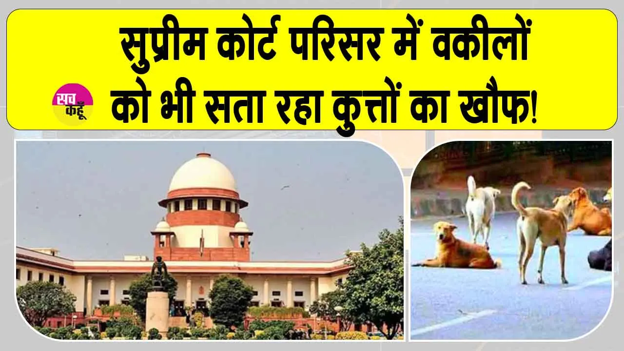 Supreme court news: सुप्रीम कोर्ट में ही वकील नहीं हैं सुरक्षित, मंडरा रहा ये अनजाना खतरा!
