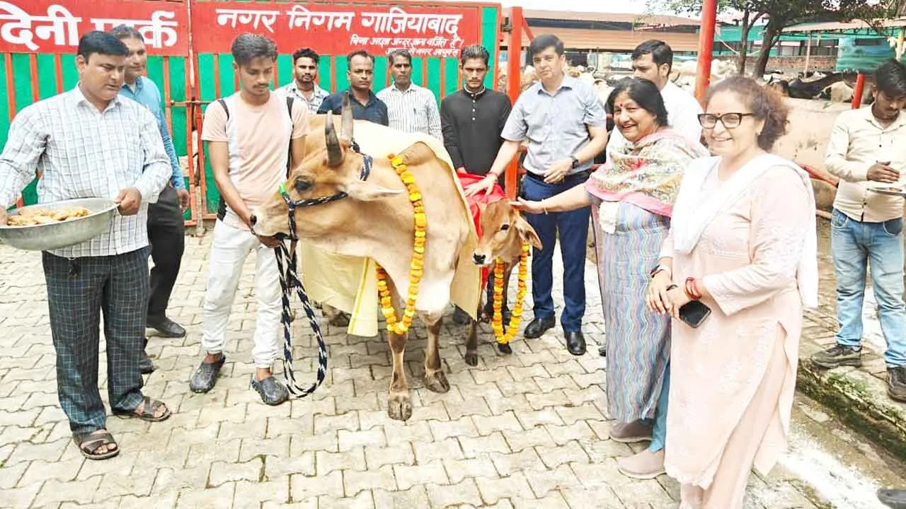 गौ माता को परिवार का हिस्सा समझकर चारा दान करें: महापौर
