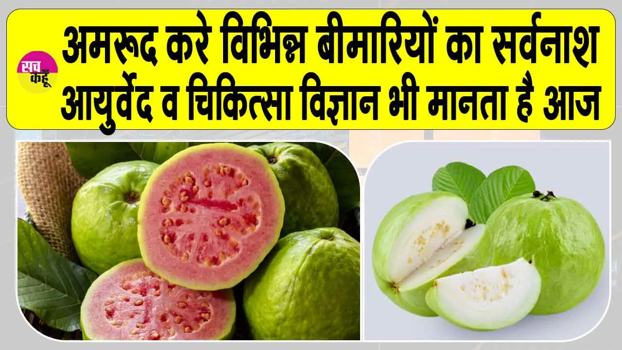 Guava health benefits: डायबिटीज या दिल की बीमारी है, घबराएं नहीं! ये फल खाएँ, सेहत के लिए वरदान है ये फल