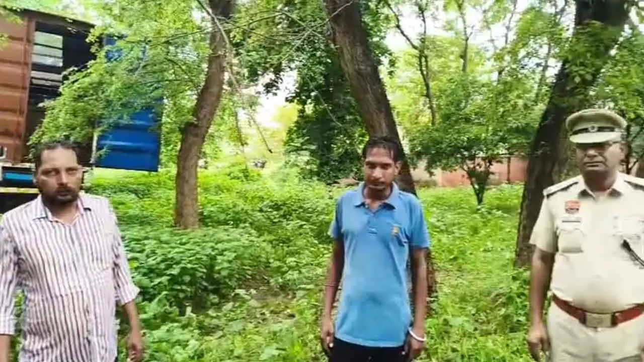 जागरूकता और सतर्कता की मिसाल: जाखल पुलिस ने लावारिस मवेशियों को सुरक्षित पहुँचाया उनके मालिकों तक