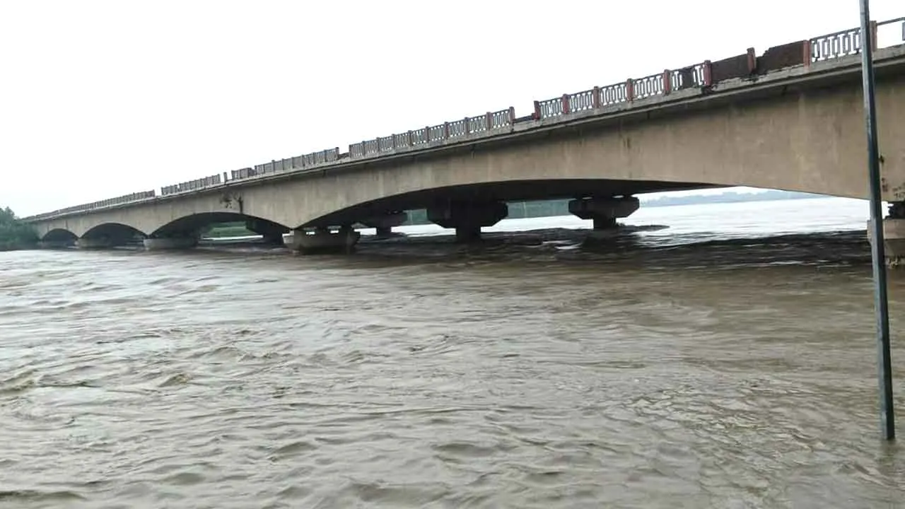 Yamuna River: कैराना में उफान पर पहुंची यमुना, सैकड़ों बीघा फसल जलमग्न