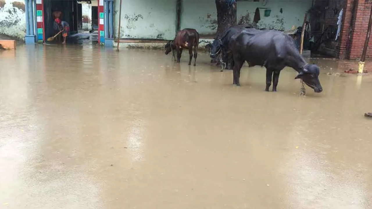 दबंगों ने सार्वजनिक नाली पर किया कब्जा, ग्रामीण के घर में घुसा पानी