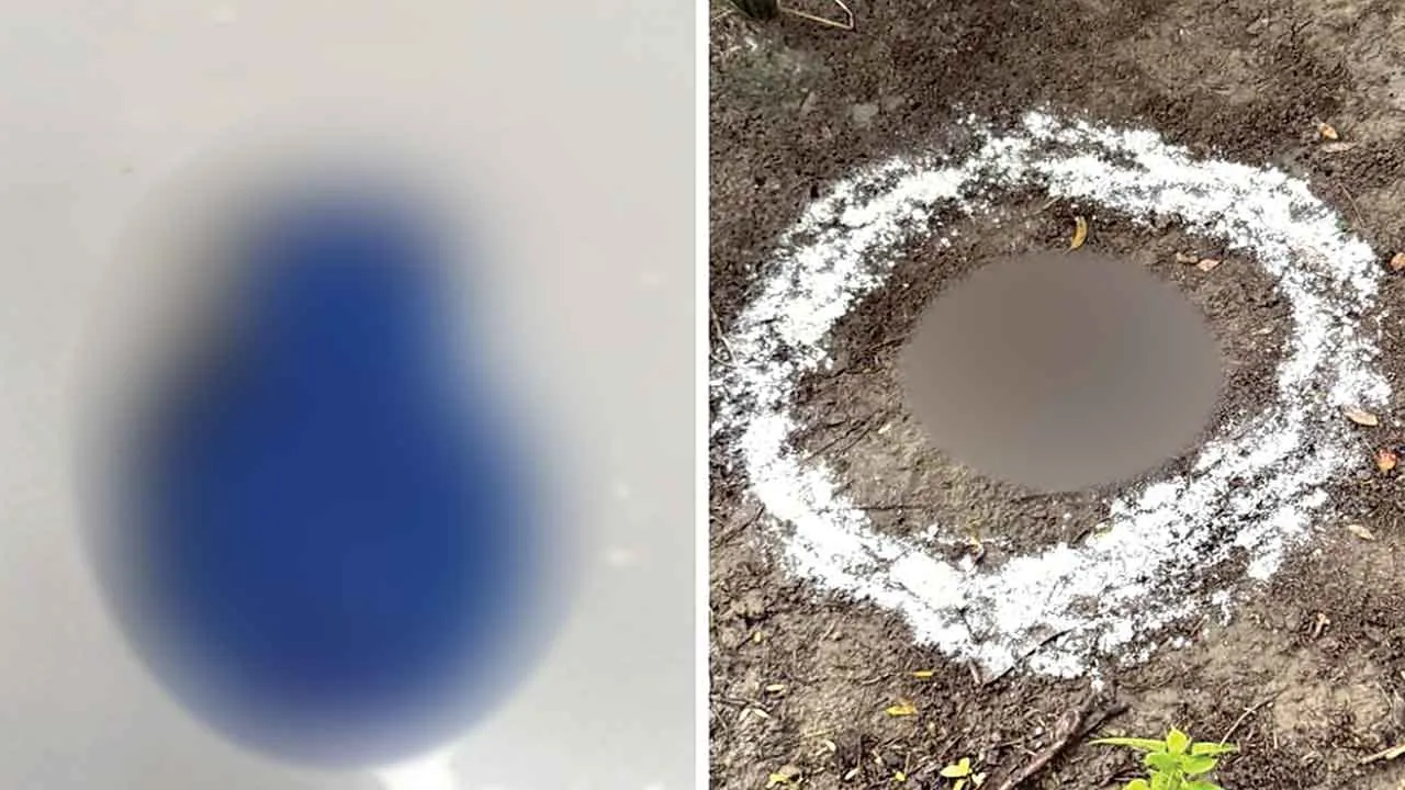 बीकेआई आतंकी नेटवर्क का भंडाफोड़, हथियारों सहित पांच आरोपी गिरफ्तार
