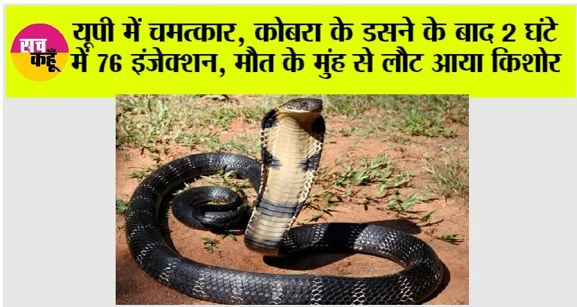 Snake Bite: यूपी में चमत्कार, कोबरा के डसने के बाद 2 घंटे में 76 इंजेक्शन, मौत के मुंह से लौट आया किशोर