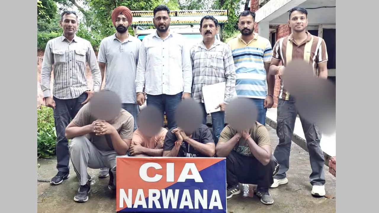 सीआईए नरवाना ने पकड़ा अनाज चोर गिरोह, मास्टरमाइंड समेत चार दबोचे, पांच वारदातों का खुलासा