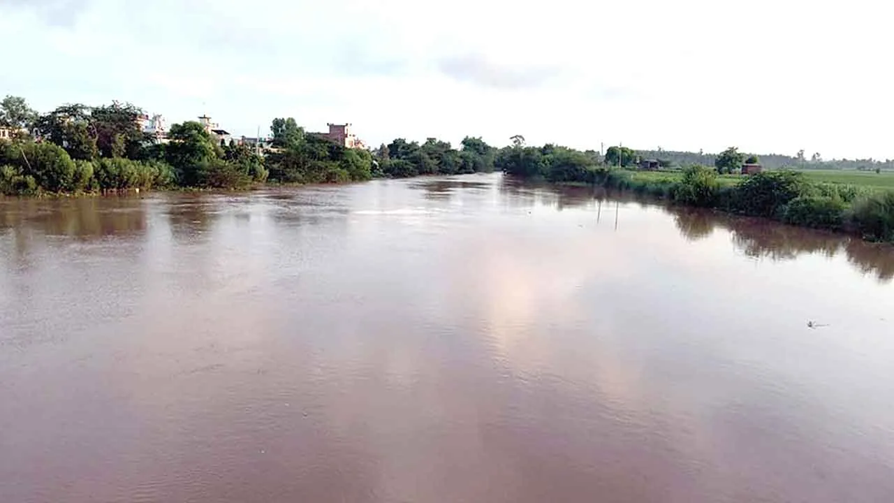 पंजाब में बारिश, खतरे के निशान से ऊपर पहुँची टांगरी नदी, किसानों में डर