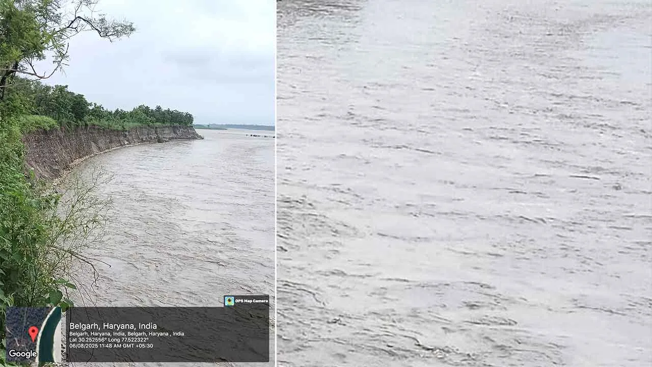 Yamuna River: यमुना नदी के उफान पर आने से कलेसर रेंज के प्रोटेक्टड फारेस्ट मांडेवाला में 10 एकड़ से अधिक जंगल पानी में बह गया