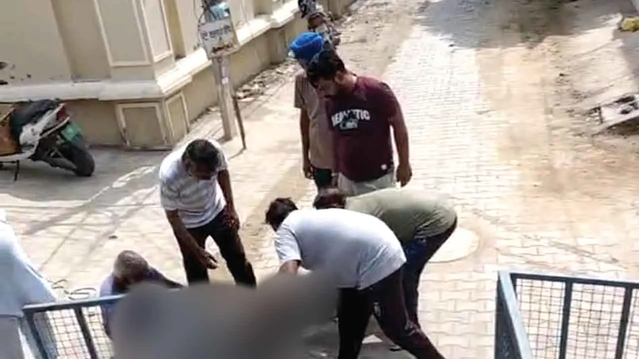 सराहनीय: डेरा श्रद्धालुओं ने घायल पशु का उपचार कर गौशाला भेजा