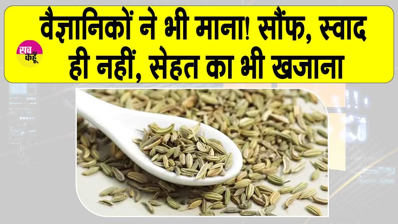 Saunf health benefits: वैज्ञानिकों ने भी माना! सौंफ, स्वाद ही नहीं, सेहत का भी खजाना