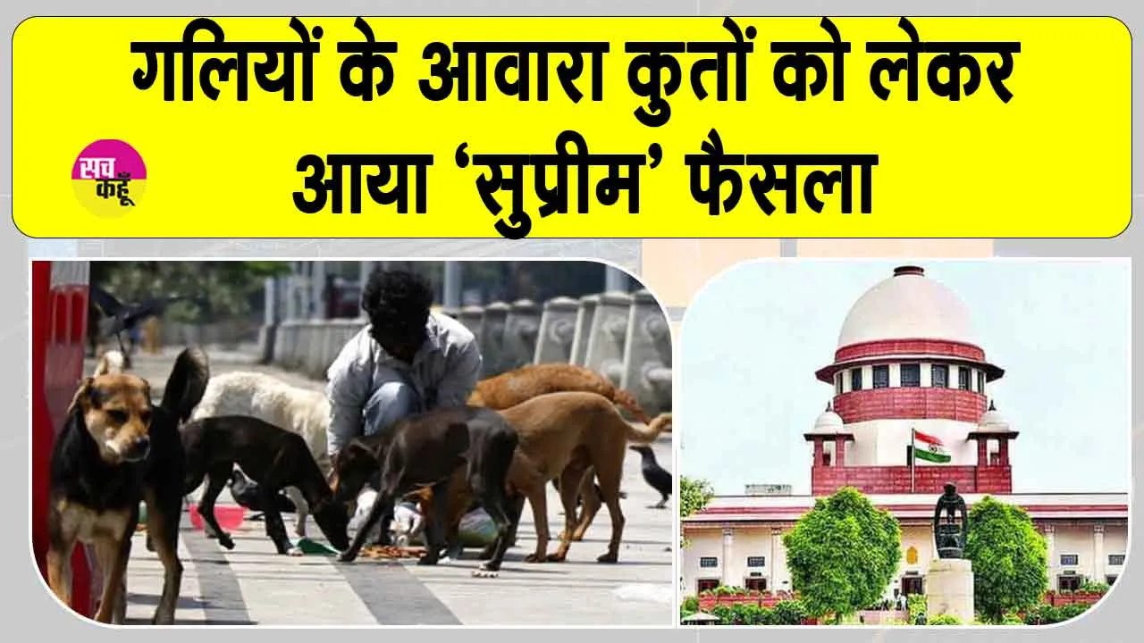 Supreme Court stray dogs decision: दिल्ली-एनसीआर में आवारा कुत्तों को लेकर आया ‘सुप्रीम’ फैसला