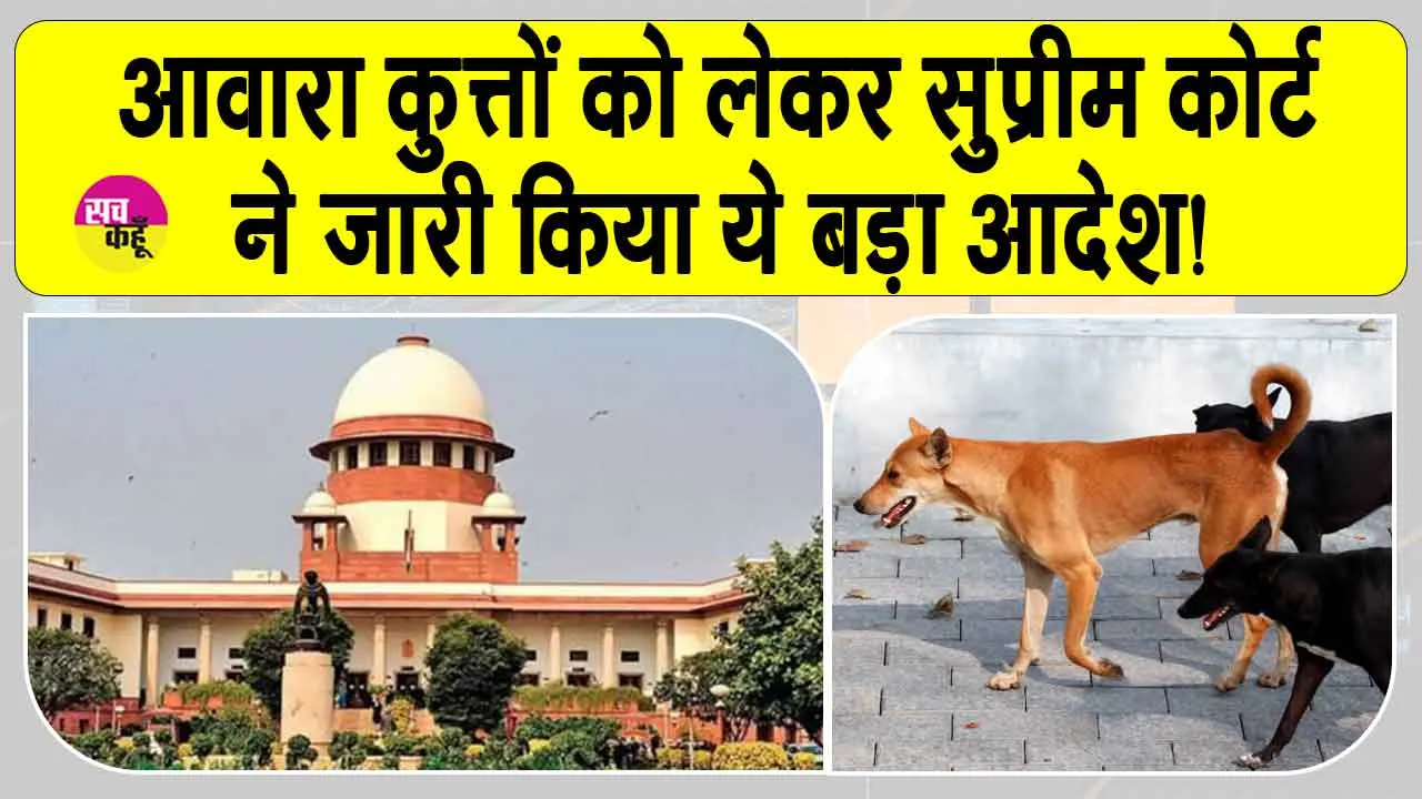 Supreme Court: आवारा कुत्तों को लेकर सुप्रीम कोर्ट का ये बड़ा आदेश जारी, कहा- देरी बर्दाश्त नहीं होगी
