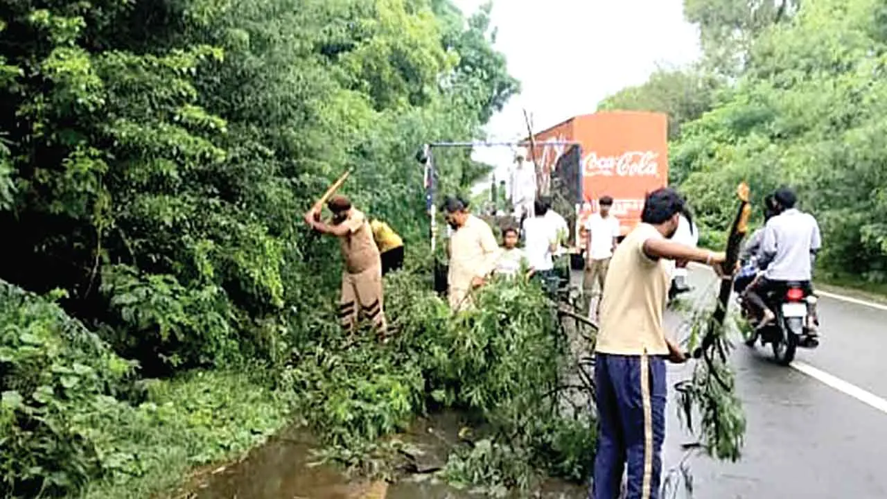 डेरा श्रद्धालुओं ने बठिंडा रोड पर गिरे पेड़ों की टहनियों को हटाया