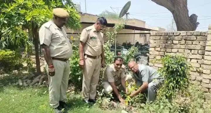 सेवानिवृत अध्यापक वेदप्रकाश नोखवाल दे रहे पर्यावरण संरक्षण का संदेश