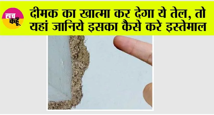 Termite Treatment: दीमक का खात्मा कर देगा ये तेल, तो यहां जानिये इसका कैसे करे इस्तेमाल