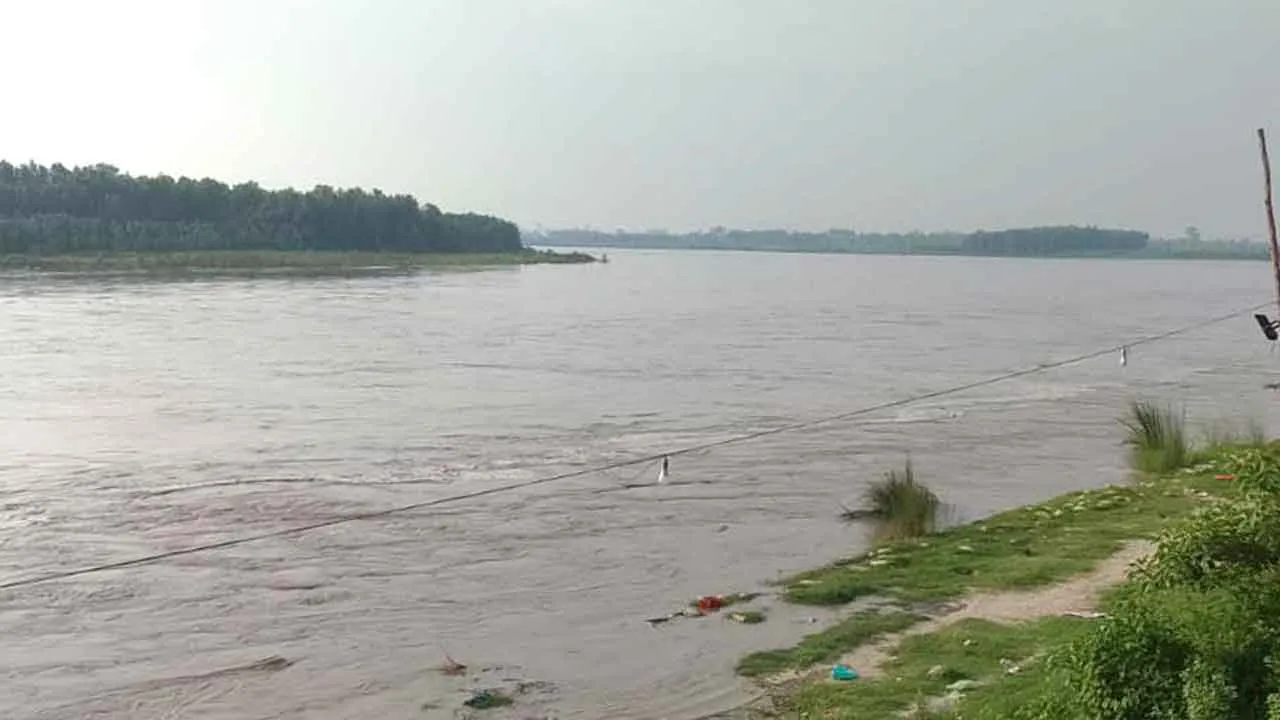 कैराना में यमुना के जलस्तर में 65 सेंटीमीटर की वृद्धि