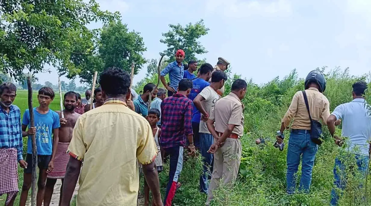 Bahraich: बहराइच में एक सप्ताह से खौफ़जदा ग्रामीण, तीन माह की बच्ची को माँ के पास से उठा ले गया जंगली जानवर
