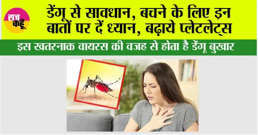Dengue Virus: डेंगू से सावधान, बचने के लिए इन बातों पर दें ध्यान, बढ़ाये प्लेटलेट्स