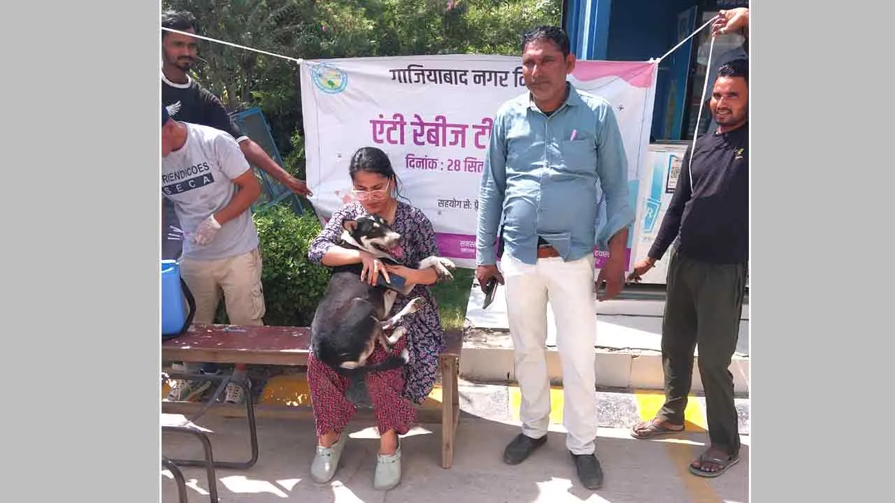 World Rabies Day: पालतू और निराश्रित श्वानों का टीकाकरण जरूर करवाएं: नगर आयुक्त  