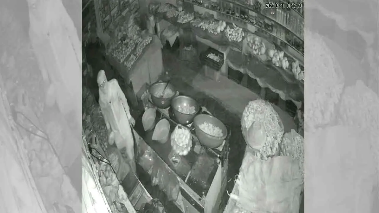 Hanumangarh Theft News: पाड़ लगाकर वैरायटी स्टोर में घुसा, हजारों रुपए की नकदी की पार