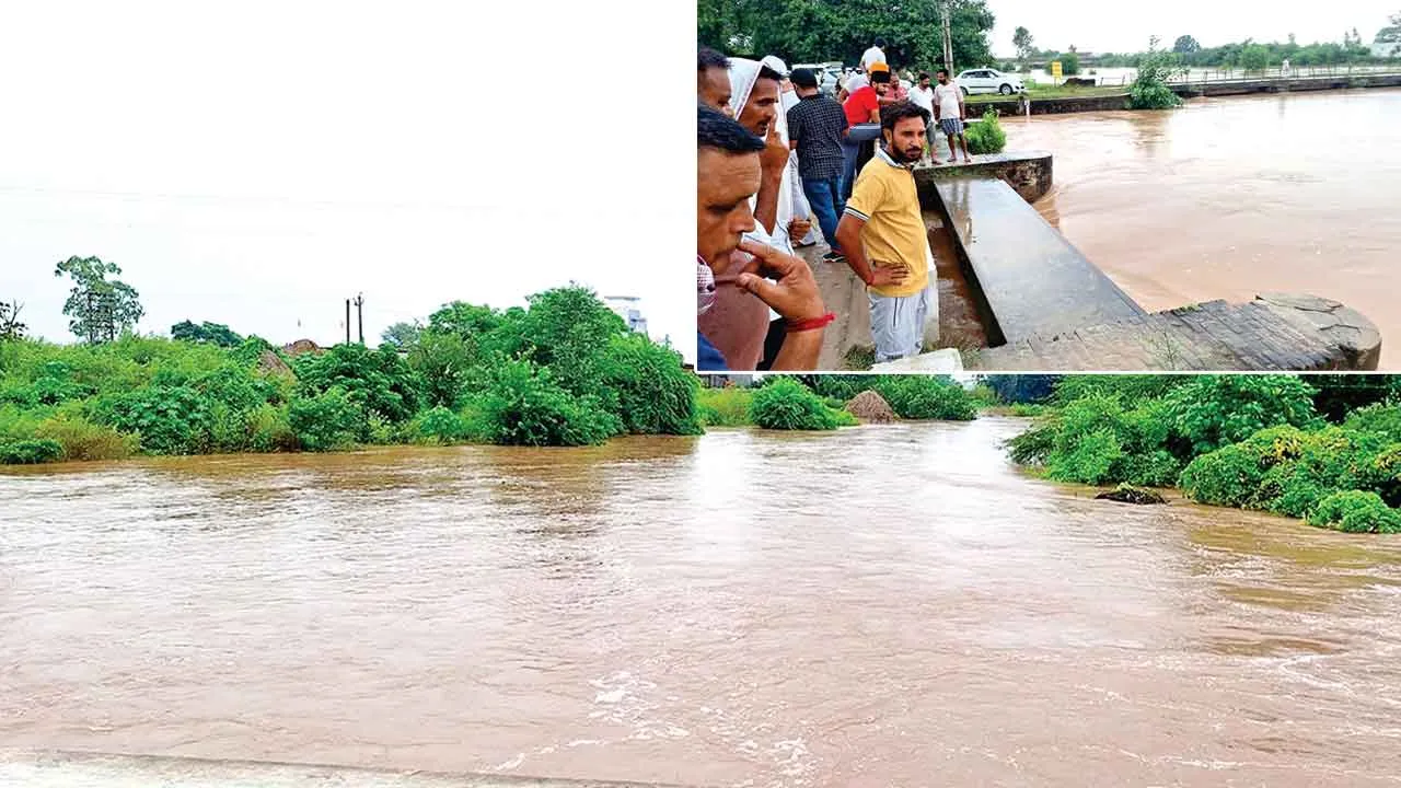 Haryana News: हरियाणा में मारकंडा, घग्गर पूरे उफान पर, खतरा बरकरार, सरसा में कई जगह तटबंध टूटे, गांव में घुसा पानी