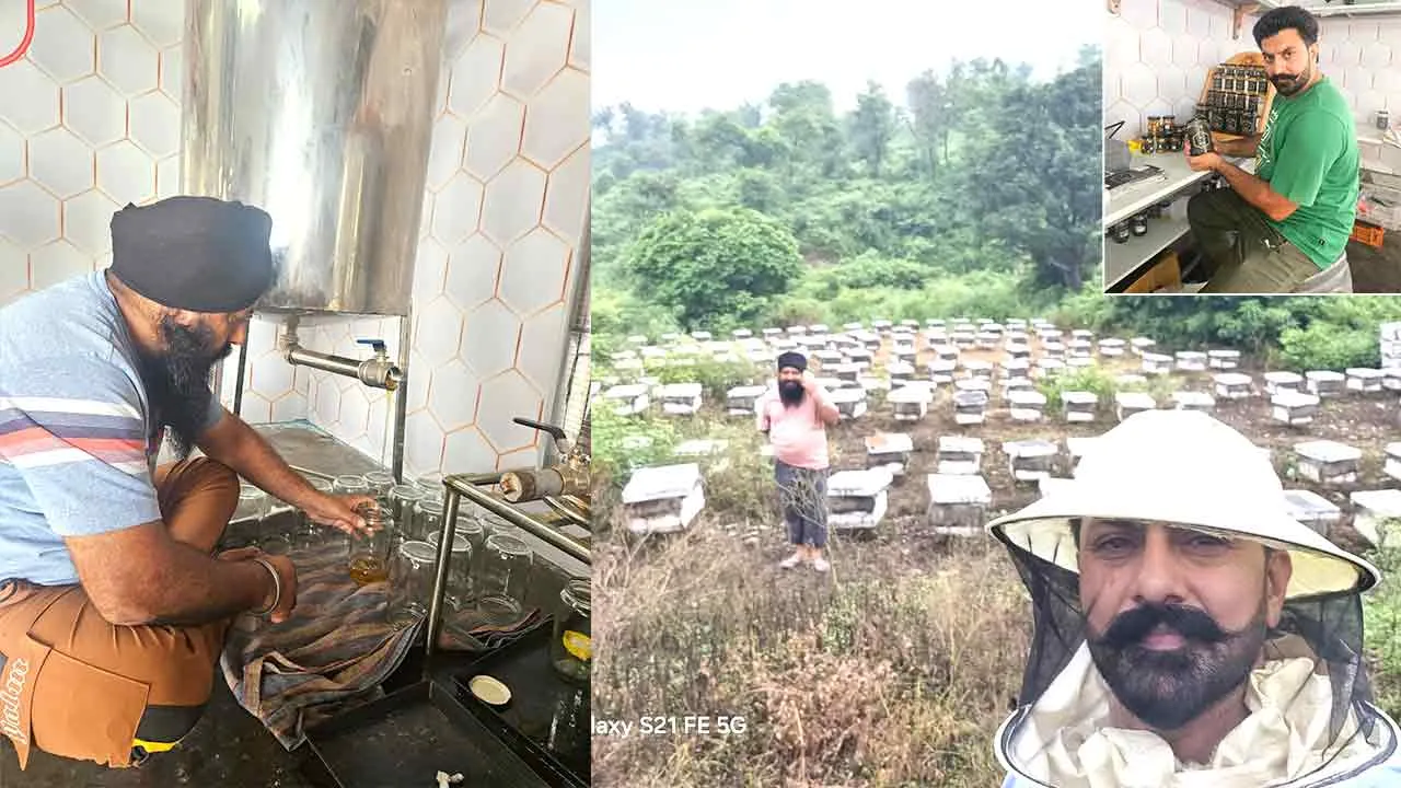 गांव चिल्ले वाल के कुलबीर सिंह ने शहद उत्पादन में रची सफलता की गाथा