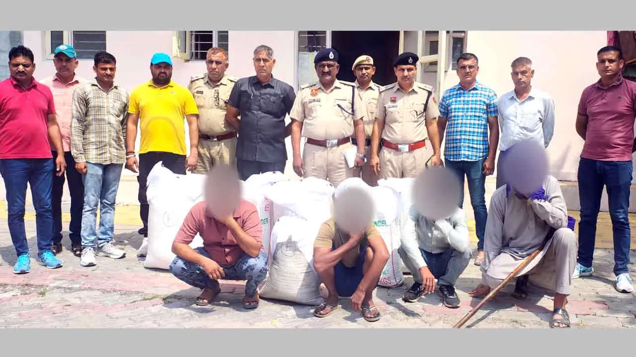 164 किलो 755 ग्राम डोडा चुरा पोस्त सहित चार आरोपी काबू