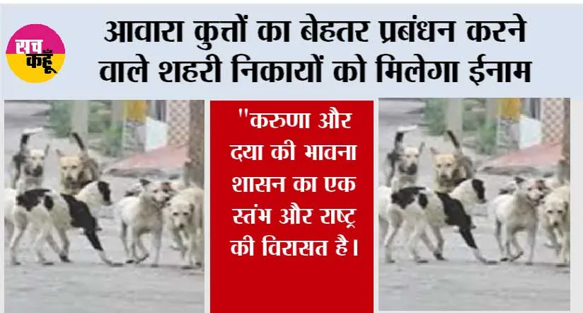 आवारा कुत्तों का बेहतर प्रबंधन करने वाले शहरी निकायों को मिलेगा ईनाम