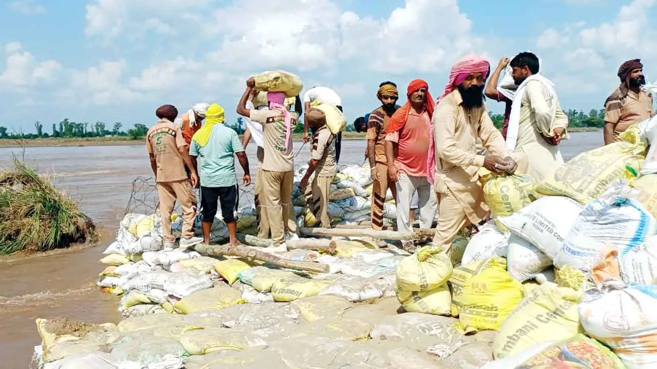 Satluj Bandh: दो दिन की कड़ी मशक्कत से डेरा सच्चा सौदा के सेवादारों ने सतलुज बांध में दरार को भरा