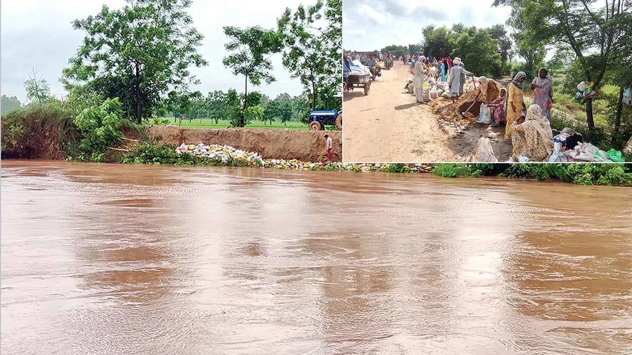घग्गर में जलस्तर खतरे के निशान से ऊपर, मूनक में बाढ़ की आशंका