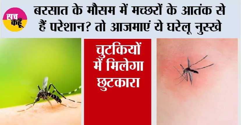 Mosquito Home Remedies: बरसात के मौसम में मच्छरों के आतंक से हैं परेशान? तो आजमाएं ये घरेलू नुस्खे, चुटकियों में मिलेगा छुटकारा