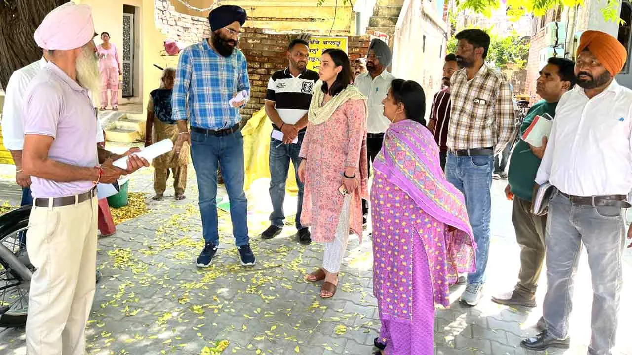 Dengue: पटियाला में डेंगू का कहर, मरीजों की संख्या पहुंची 167
