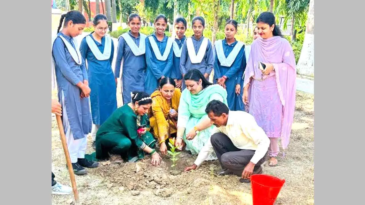 विश्व पर्यावरण स्वास्थ्य दिवस पर पौधारोपण कर दिया पर्यावरण संरक्षण का संदेश