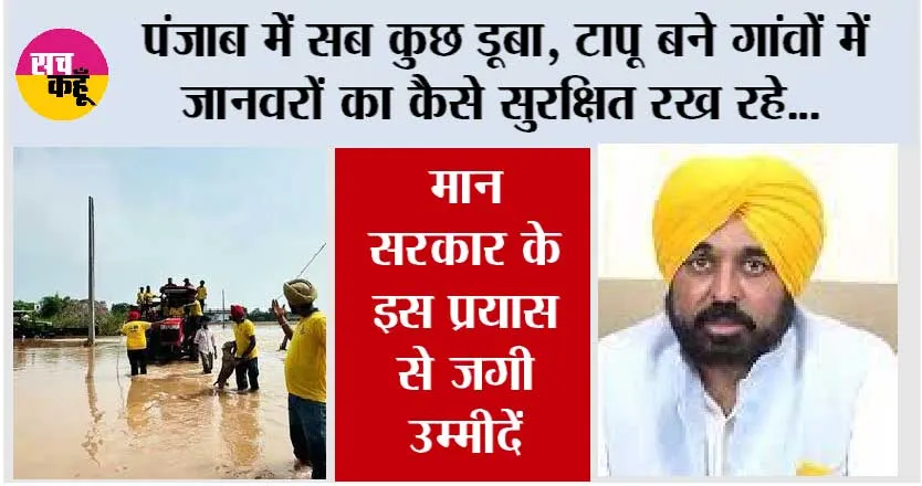 Punjab Flood: पंजाब में सब कुछ डूबा, टापू बने गांवों में जानवरों का कैसे सुरक्षित रख रहे, मान सरकार के इस प्रयास से जगी उम्मीदें
