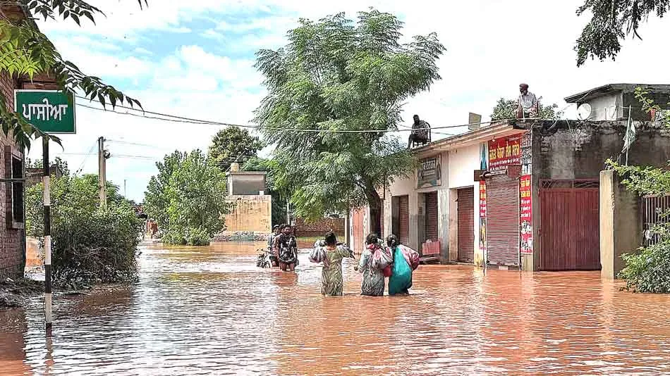संगरूर जिले में बाढ़ से भारी तबाही, कच्चे मकानों से ज्यादा पक्के मकान ढहे, एक की मौत