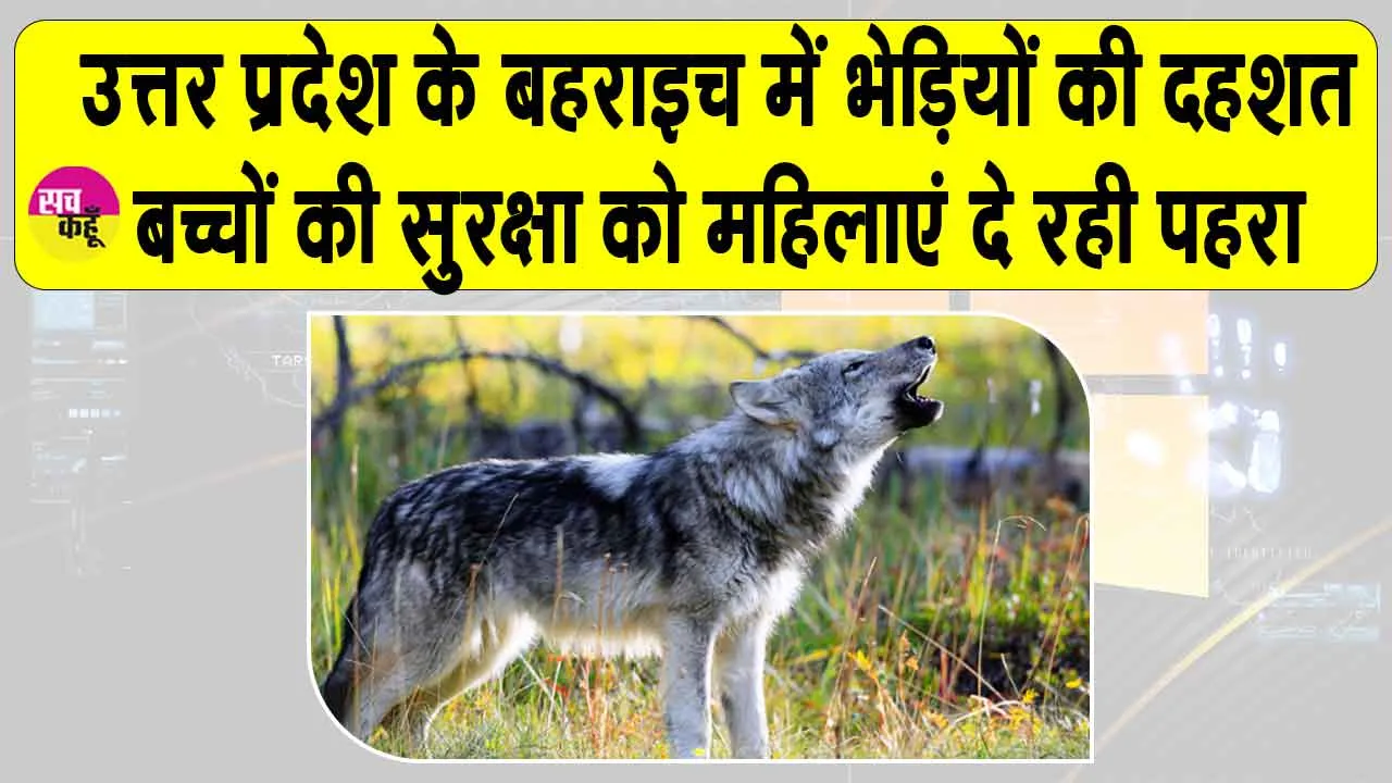 Bahraich Wolves Terror: बहराइच में भेड़ियों का आतंक, रातभर पहरा देकर महिलाएँ संभाल रहीं सुरक्षा का मोर्चा