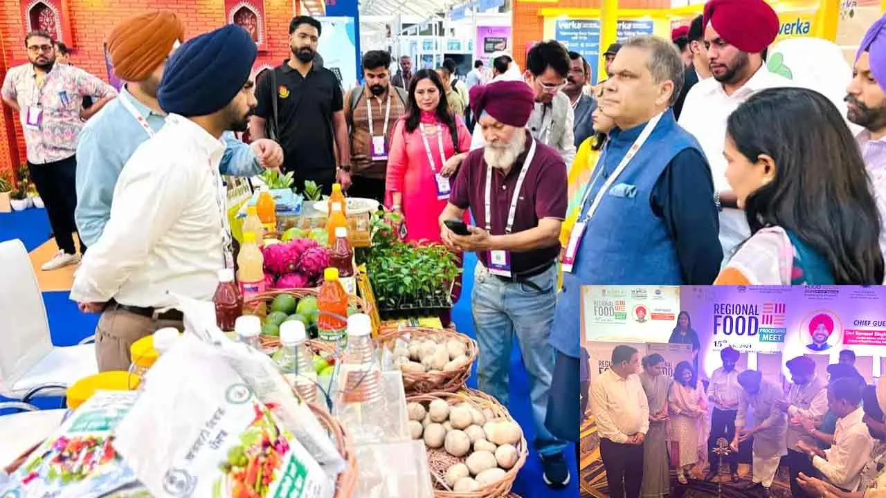 मान सरकार का बाकमाल बदलाव: पंजाब में फूड प्रोसेसिंग से बढ़ी किसानों की आमदनी, और नए रोज़गार के मौके भी हुए पैदा