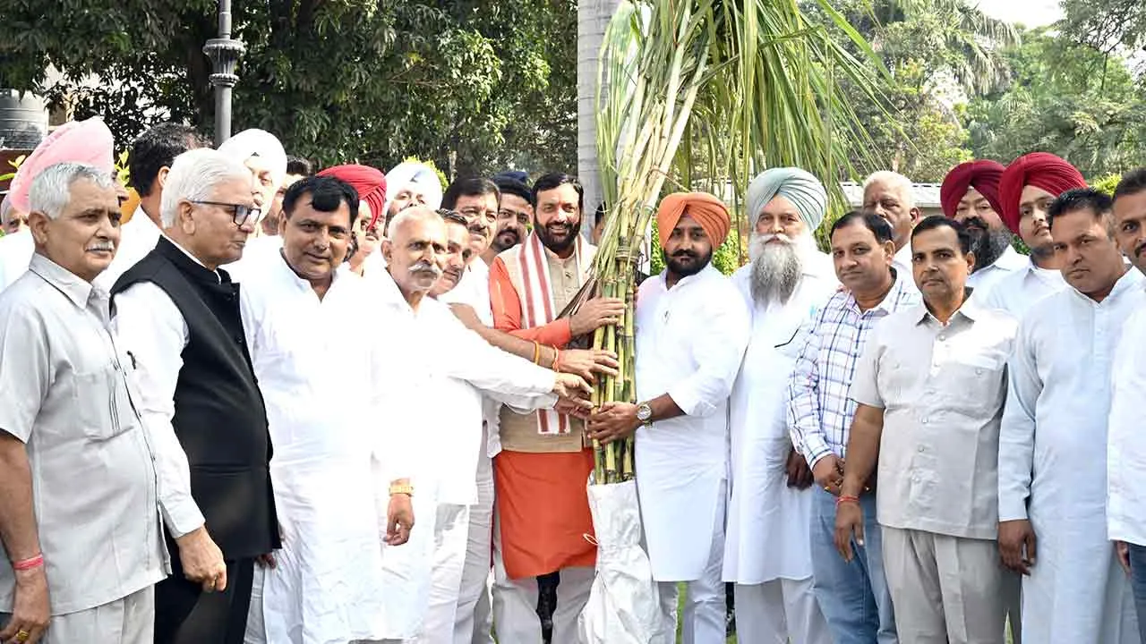 Sugarcane: गन्ना का एमएसपी बढ़ाने पर किसानों ने मुख्यमंत्री का जताया आभार