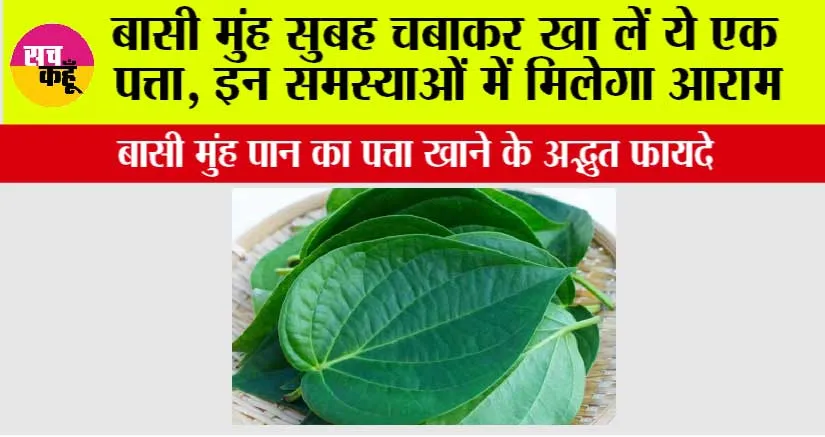 Chewing Betel Leaves: सुबह उठकर बासी मुंह पान का पत्ता खाने के अद्भुत फायदे