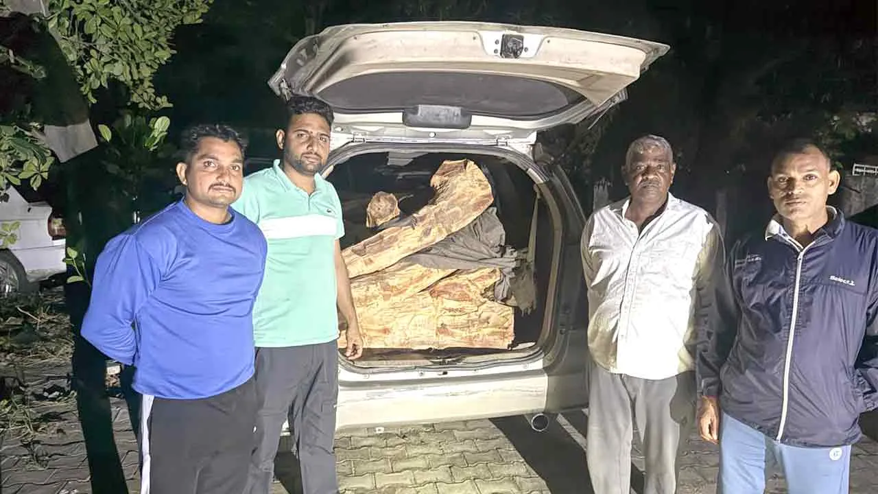 खैर से लदी इनोवा कार को फॉरेस्ट स्टाफ ने फिर से किया काबू