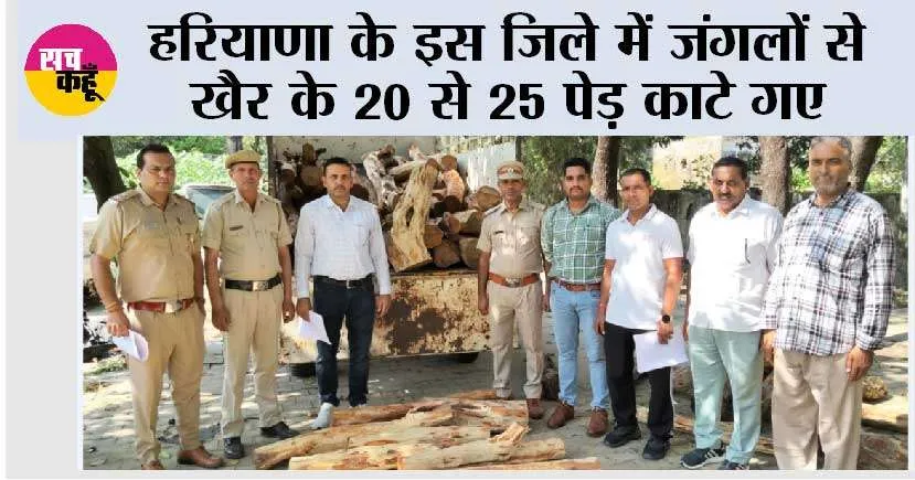 वाइल्ड लाइफ व फारेस्ट टीम की संयुक्त कार्रवाई, जंगलों से खैर के 20 से 25 पेड़ काटे गए, 82 पीस बरामद