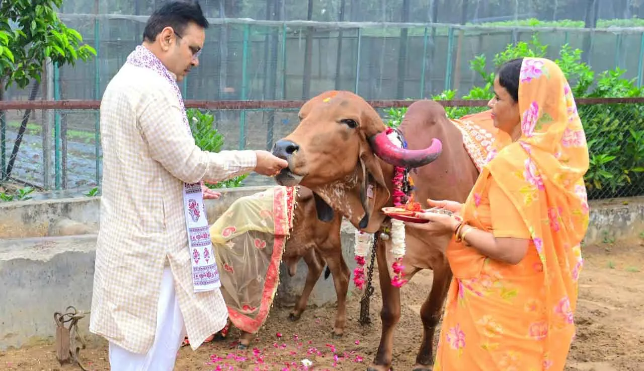 Gopashtami 2025: मुख्यमंत्री भजनलाल शर्मा ने मुख्यमंत्री निवास पर किया गौ-पूजन