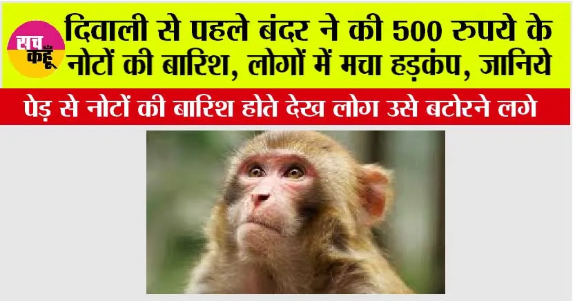 Diwali 2025: दिवाली से पहले बंदर ने की 500 रुपये के नोटों की बारिश, लोगों में मचा हड़कंप, जानिये