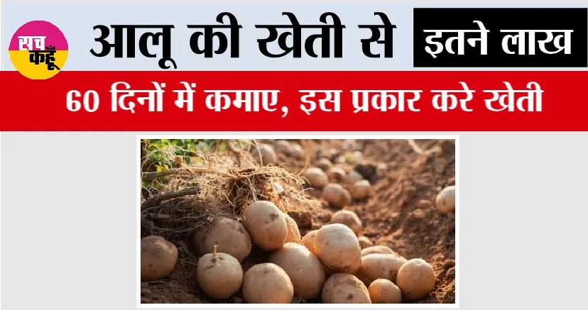 Grow Early Potatoes: आलू की खेती से कमाए 60 दिनों में इतने लाख, इस प्रकार करे खेती