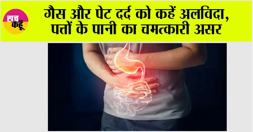 Healthy Tips For Stomach: गैस और पेट दर्द को कहें अलविदा, पत्तों के पानी का चमत्कारी असर