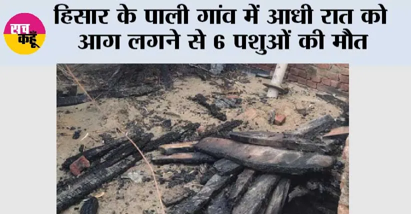 हिसार के पाली गांव में आधी रात को आग लगने से 6 पशुओं की मौत