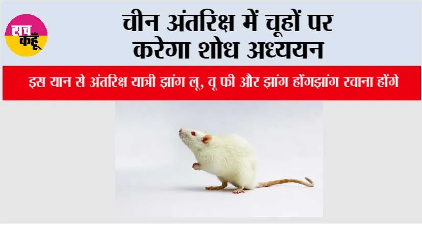 चीन अंतरिक्ष में चूहों पर करेगा शोध अध्ययन