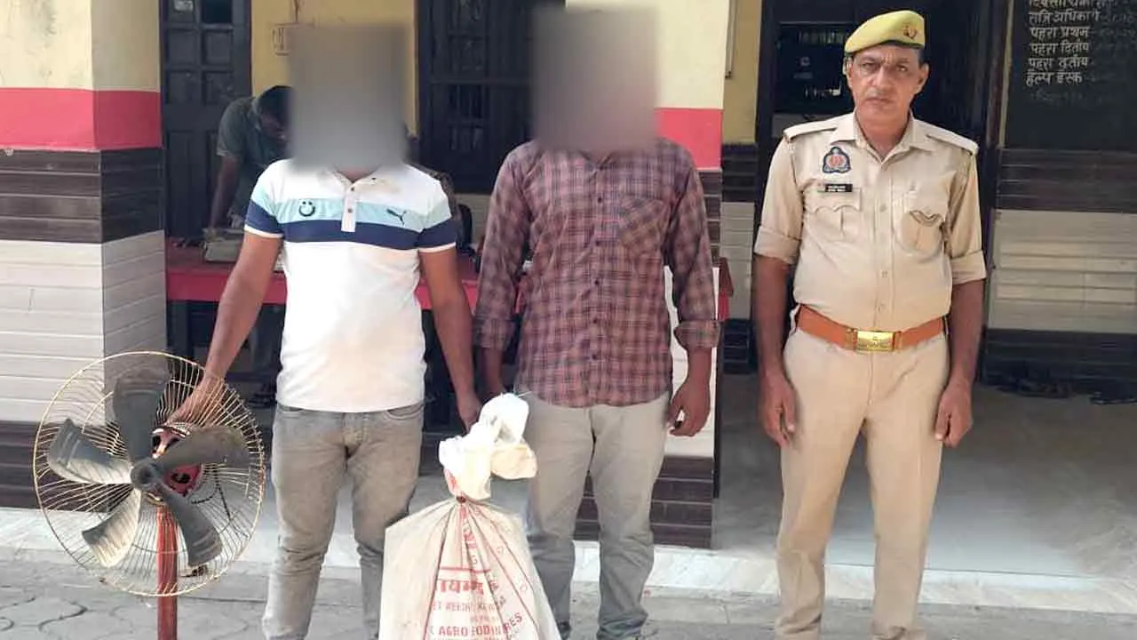चोरी की गई एलईडी व पंखा बरामद, दो सगे भाई गिरफ्तार